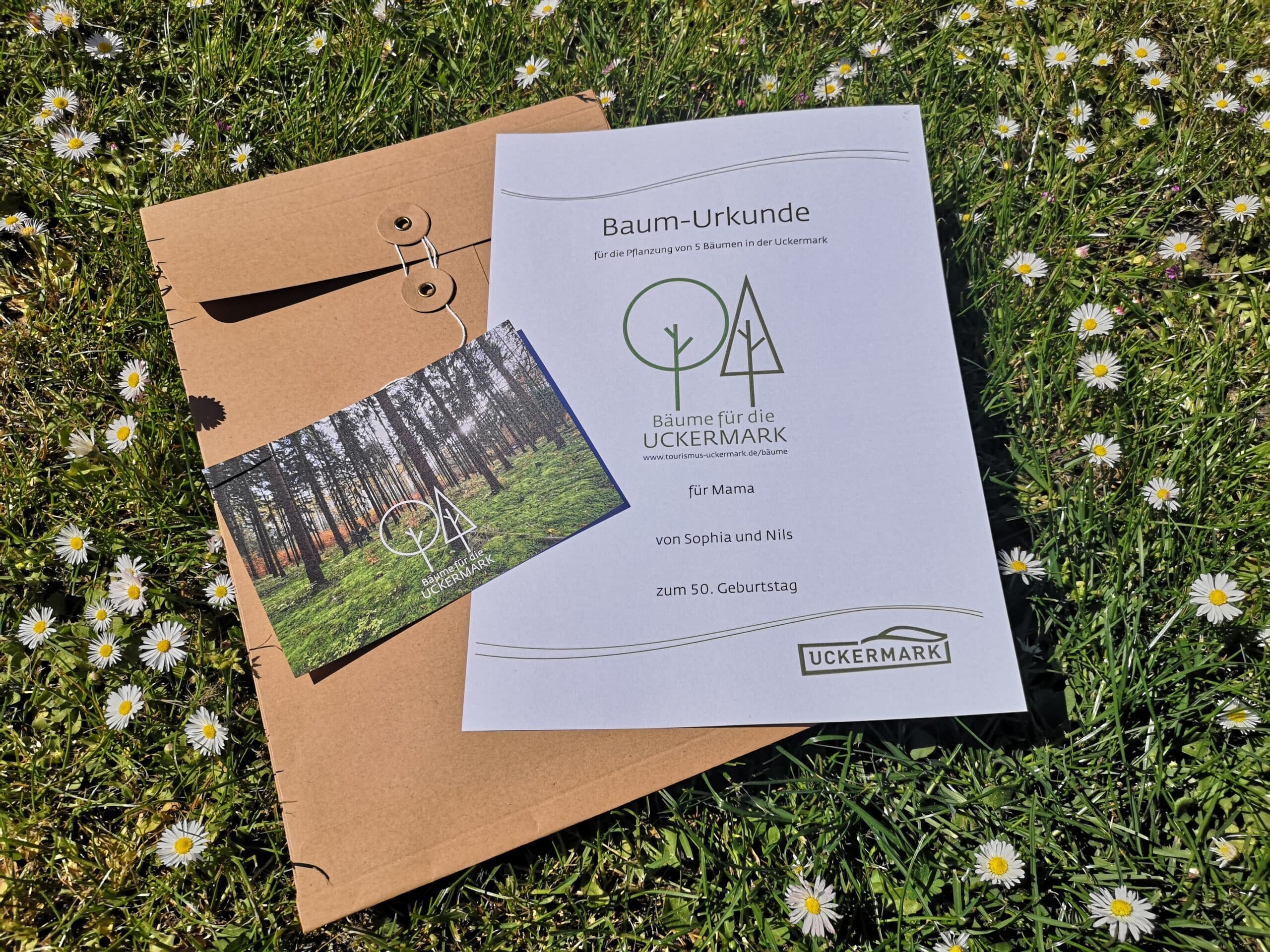 Geschenkverpackung mit Baum-Urkunde