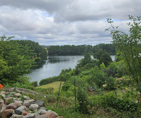 Foto von Naugarten - Blick aufs Wasser