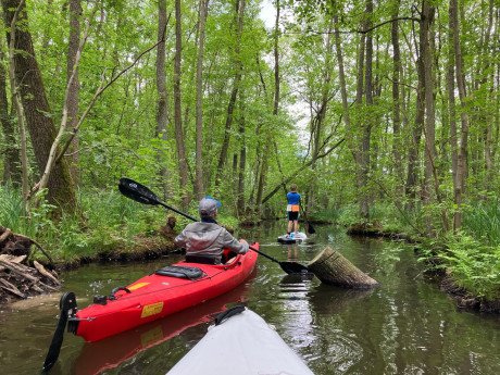 Foto von Paddler und Stand-Up auf schmalem Gewässer