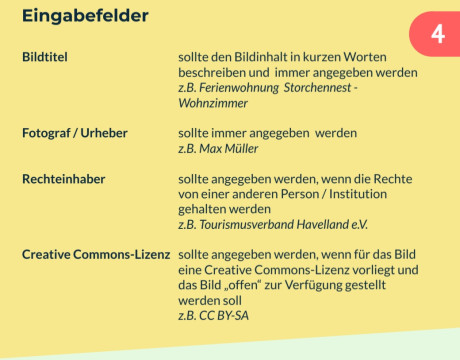 Bilder pflegen im Contentnetzwerk Brandenburg - 5