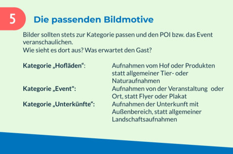 Bilder pflegen im Contentnetzwerk Brandenburg - 6