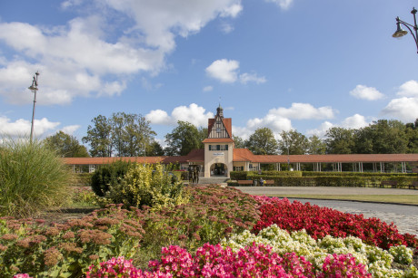 Bad Saarow mit Blumenwiese
