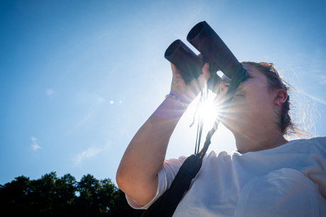 Frau blickt durch ein Fernglas in die Natur zum Vögel beobachten.