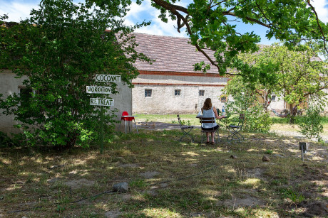 Co-Working im Coconat