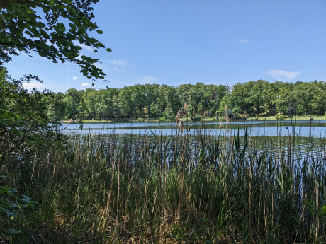 Seeblick Willibald-Alexis-Wanderweg, Kloster Lehnin