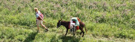 Foto von Eselwanderung