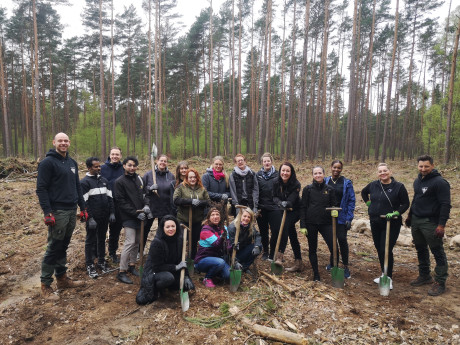 Foto von der Pfanzaktion Resort Mark Brandenburg &amp; Viva La Wald