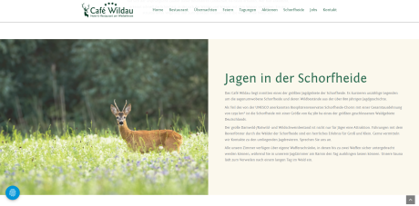 Jagen in der Schorfheide