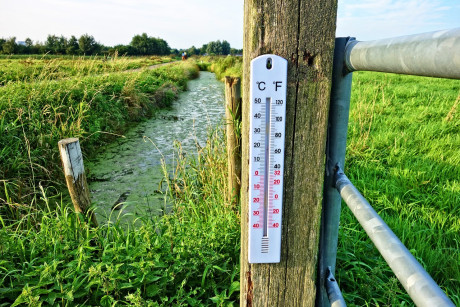 Foto von Thermometer am Gewässerrand