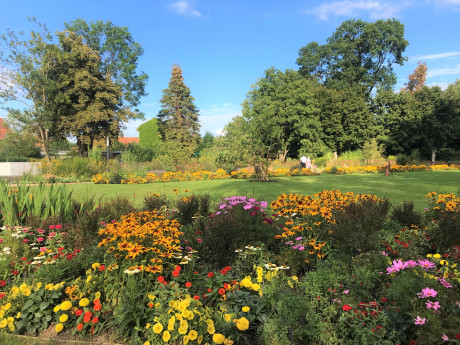 Blumenbeete auf der LAGA 2022 Beelitz
