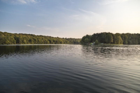 Bild Liepnitzsee