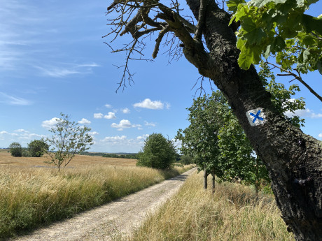 Märkischer Landweg bei Geesow