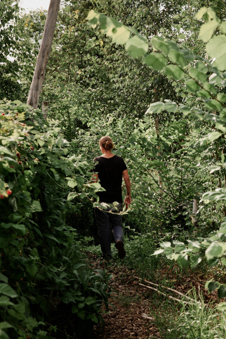 Person geht durch den Waldgarten der Michelberger Farm