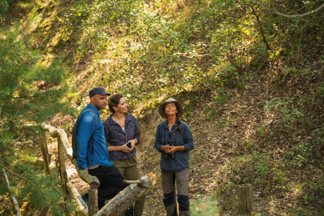 Wandern im Nationalpark Unteres Odertal 2024