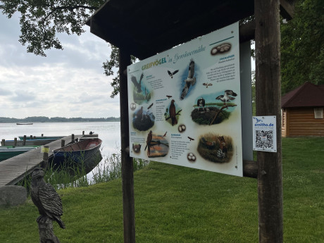 Infotafel zu heimischen Vögeln und QR-Code im Seenland Oder-Spree