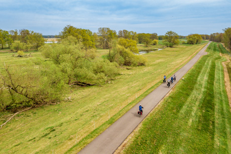 Radfahrer auf dem Oder Neiße Radweg