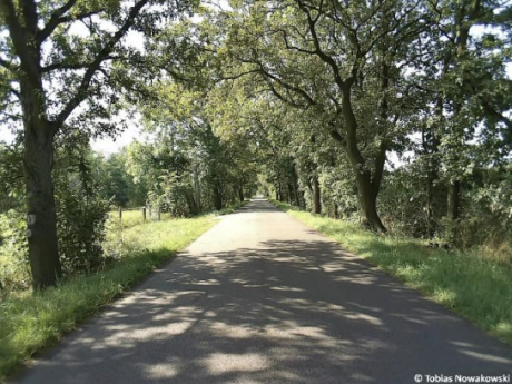 Streckenabschnitt des Radweges