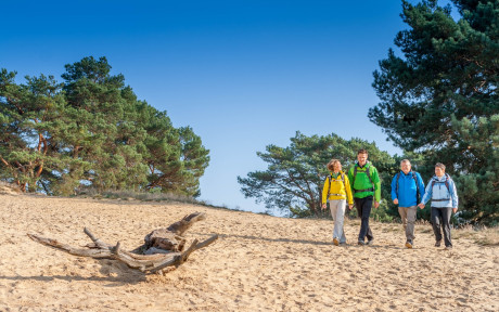 Foto von Wanderern in der Storkower Binnendüne