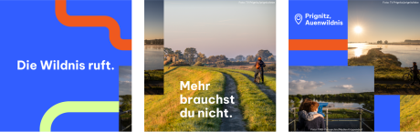 Auenwildnis - Carousel Post