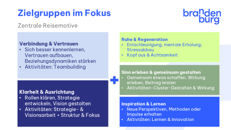 Schaubild Ziegruppenmotive Teamreisende