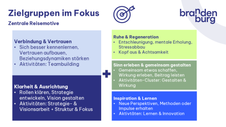 Schaubild Ziegruppenmotive Teamreisende