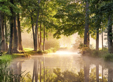 Foto von einem baumbestandenen Fließ in der Dämmerung