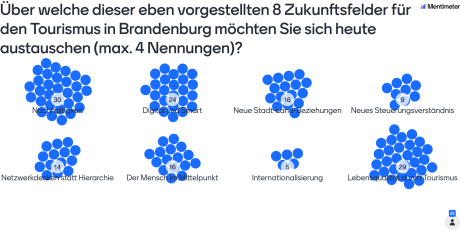 Themenfelder des Tourismus von Teilnehmenden bepunktet