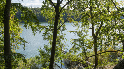 Herbstlicher Blick auf einen See entlang des 66-Seen Wanderwegs in Brandenburg