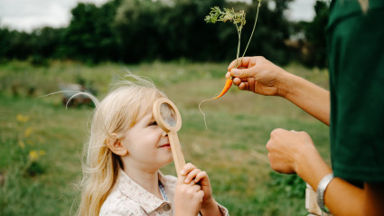 Kind betrachtet eine Möhre mit einem Vergrößerungsglas