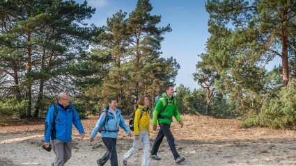 Wanderer auf einer Binnendüne in Storkow