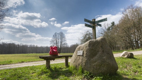 Foto von Wanderrucksack auf Bank mit Hinweisschildern