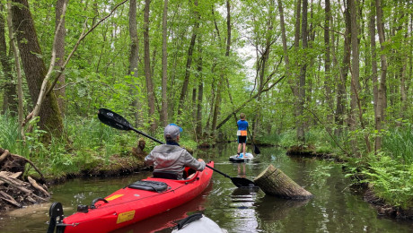 Padler und SUP Fahrer