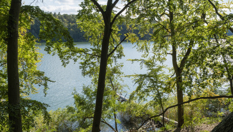Herbstlicher Blick auf einen See entlang des 66-Seen Wanderwegs in Brandenburg