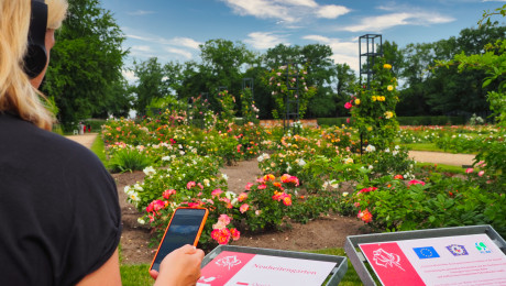 Besucherin mit einem Audioguide im Ostdeutschen Rosengarten