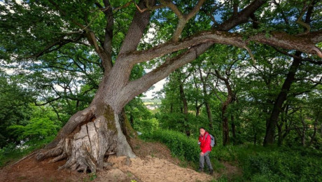 Wandern in Bad Freienwalde