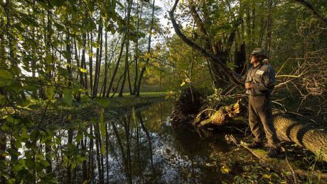 Naturparkranger im Wald