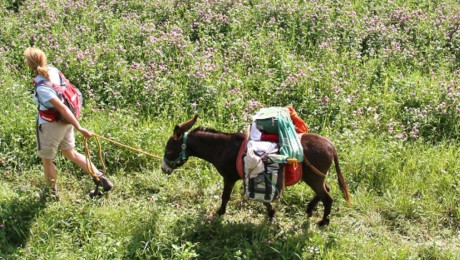 Foto von Eselwanderung