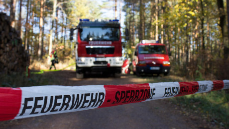 Feuerwehrautos hinter einer Absperrung im Wald