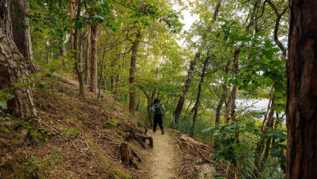 Frau auf Wanderweg im Wald, 66-Seen-Weg