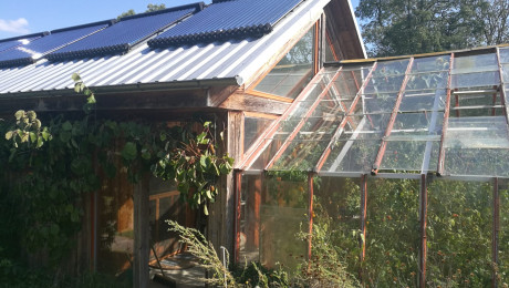 Gewächshaus mit Solarpanel