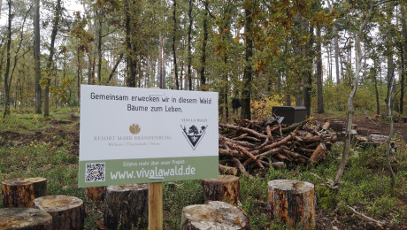 Foto vom Schild &quot;Gemeinsam erwecken wir in diesem Wald Bäume zum Leben&quot;