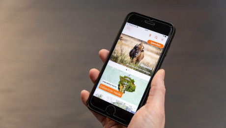 App der Sielmann Stiftung auf einem Handy
