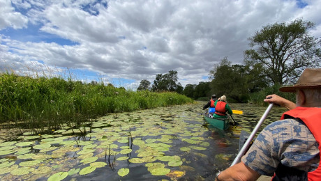 Kanutour im Nationalpark Unteres Odertal bei Schwedt