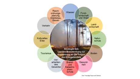grafische Darstellung einer Blume mit Aufgaben zur Klimaanpassung