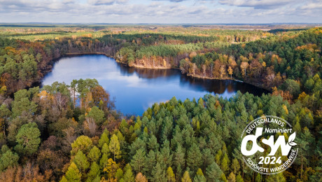 Koethener Heideseen in Luftaufnahme