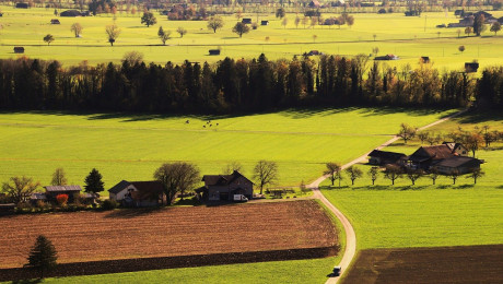 Blick auf Felder, Straße und Häuser im ländlichen Raum