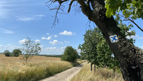 Märkischer Landweg bei Geesow