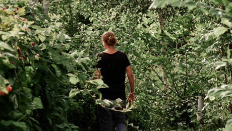 Person geht durch den Waldgarten der Michelberger Farm