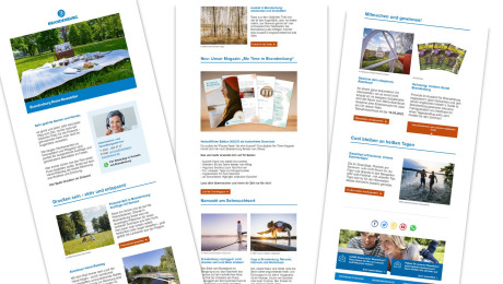 Standalone Newsletter