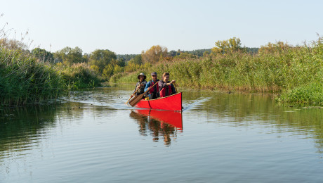 Paar fährt Kanu mit  Frauke Bennett im Nationalpark Unteres Odertal September 2024